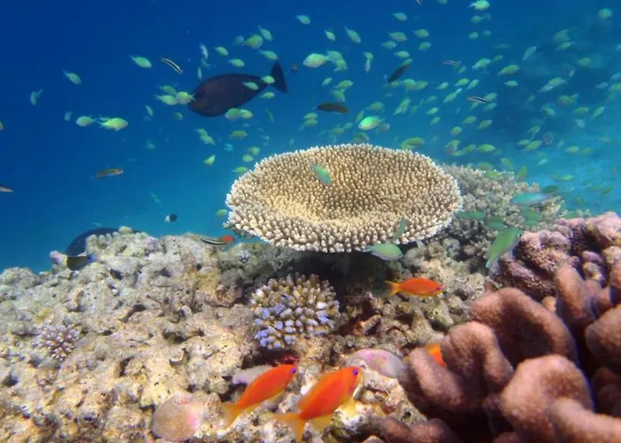 Whiteshell Island Hotel & Spa Male